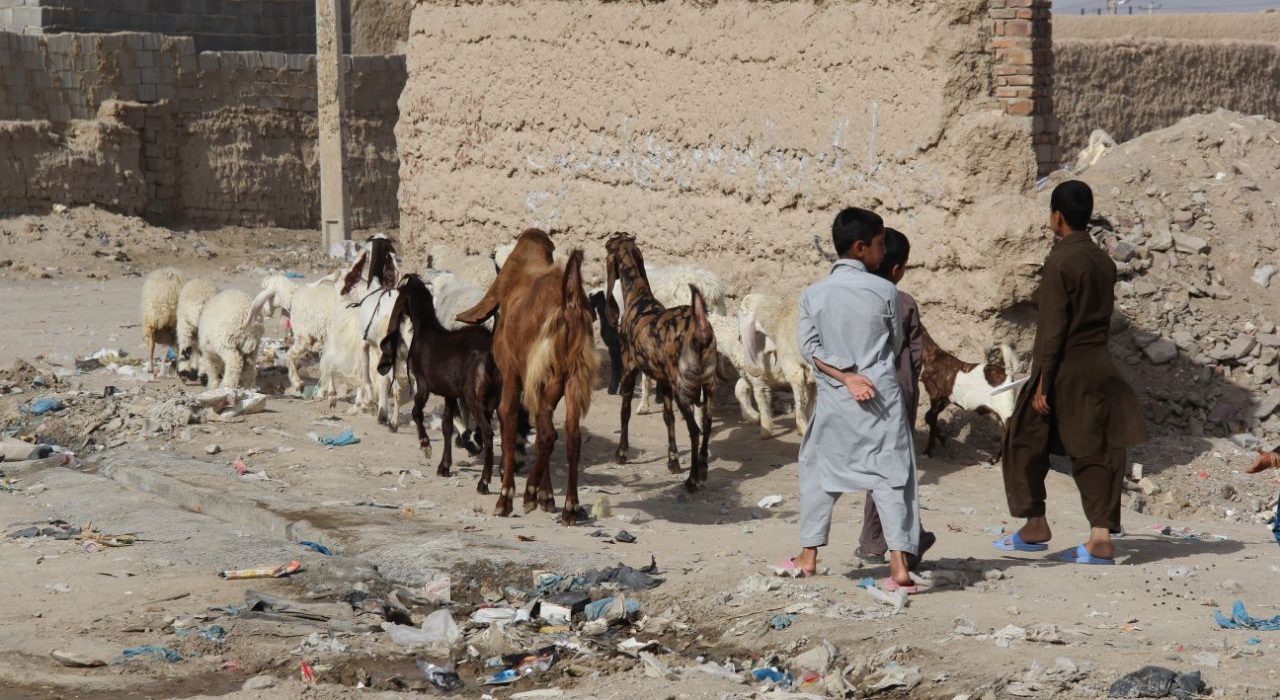 محرومیت در سیستان و بلوچستان واقعیتی انکارناپذیر است