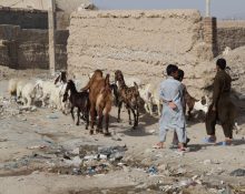 محرومیت در سیستان و بلوچستان واقعیتی انکارناپذیر است