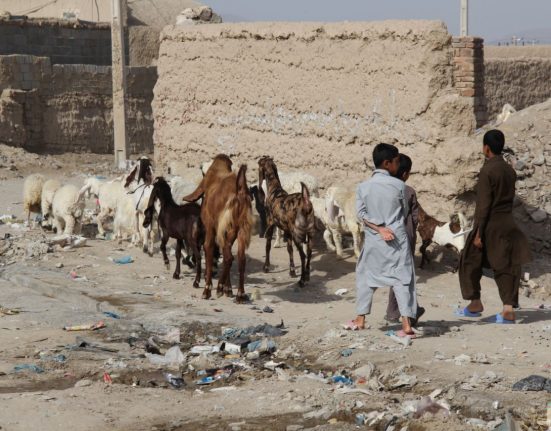 محرومیت در سیستان و بلوچستان واقعیتی انکارناپذیر است
