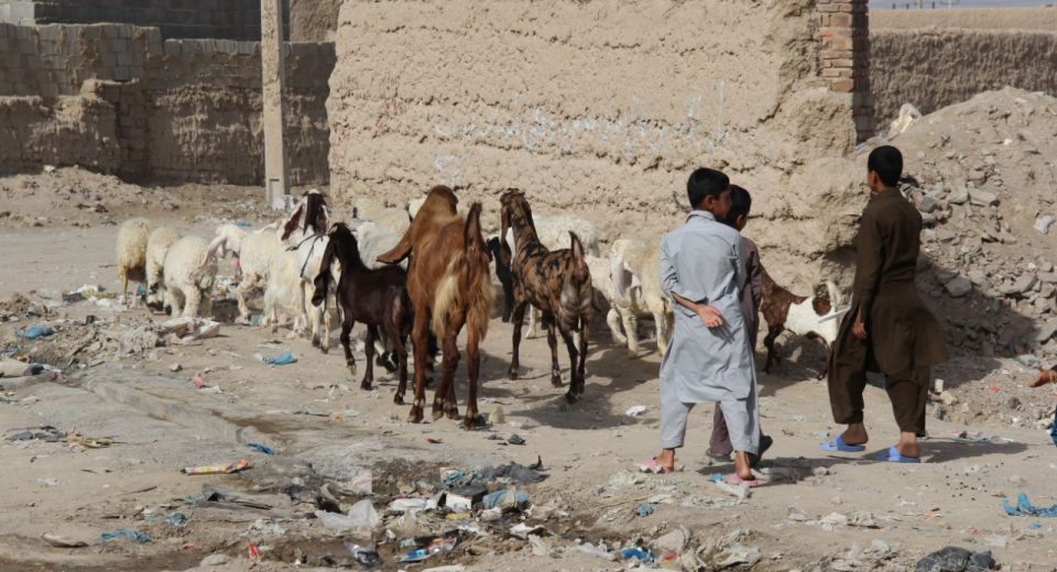 محرومیت در سیستان و بلوچستان واقعیتی انکارناپذیر است