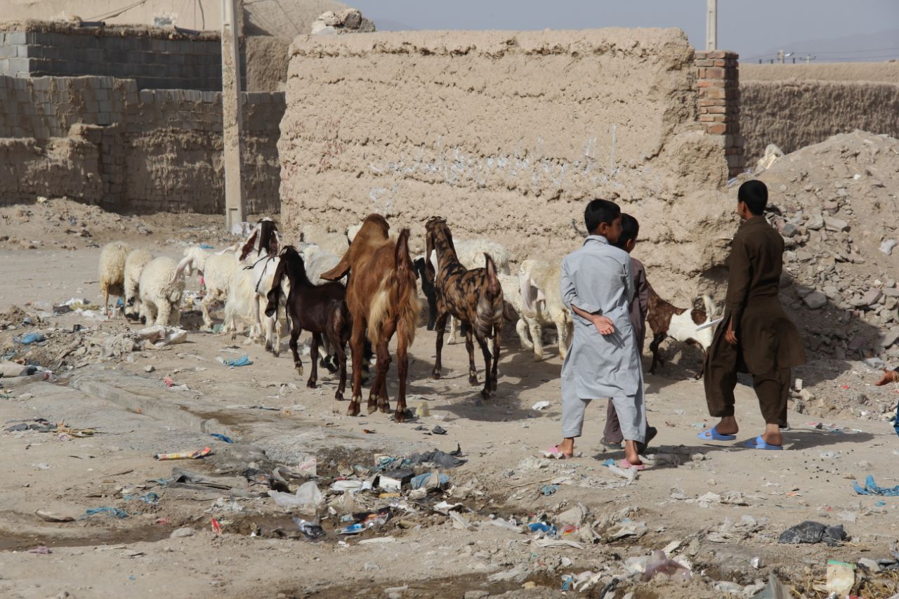 محرومیت در سیستان و بلوچستان واقعیتی انکارناپذیر است